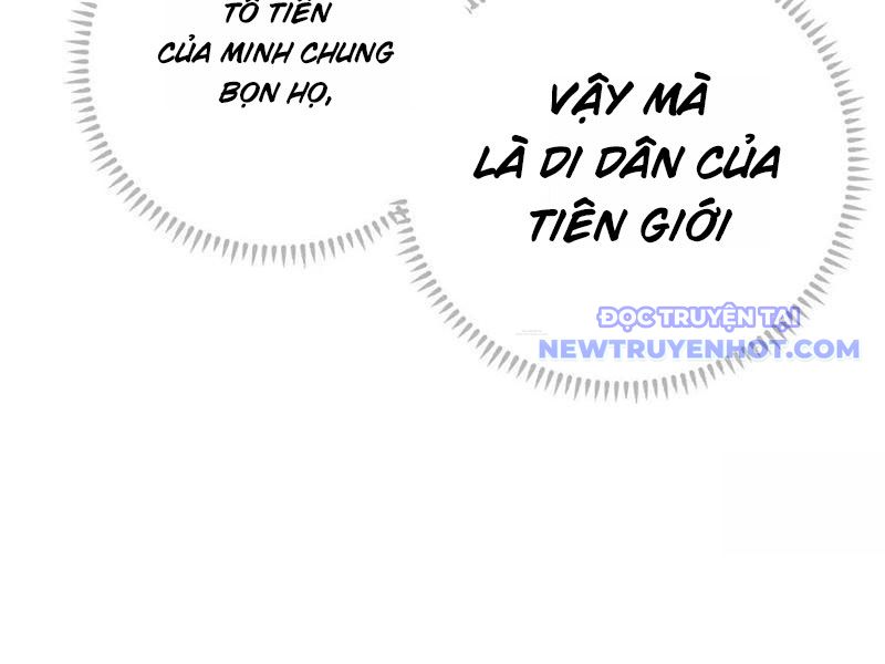 Đại Thừa Kỳ Mới Có Nghịch Tập Hệ Thống chapter 50 - Trang 47