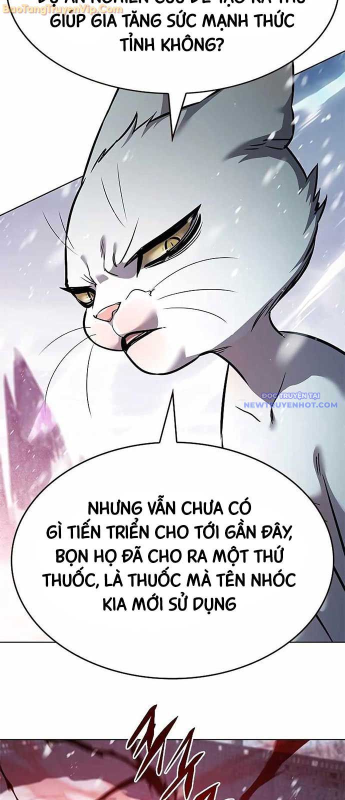 Hóa Thân Thành Mèo chapter 334 - Trang 7