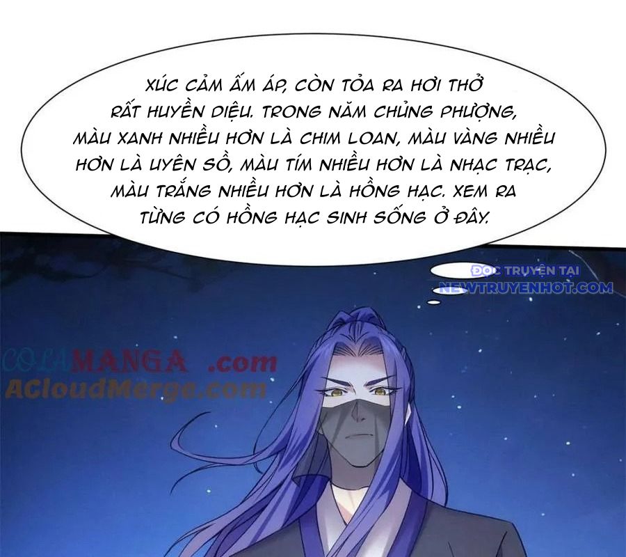 Ta Chính Là Không Theo Sáo Lộ Ra Bài chapter 311 - Trang 16