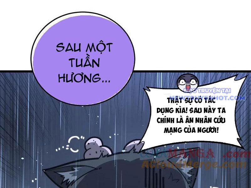 Lão Xà Tu Tiên Truyện chapter 24 - Trang 4