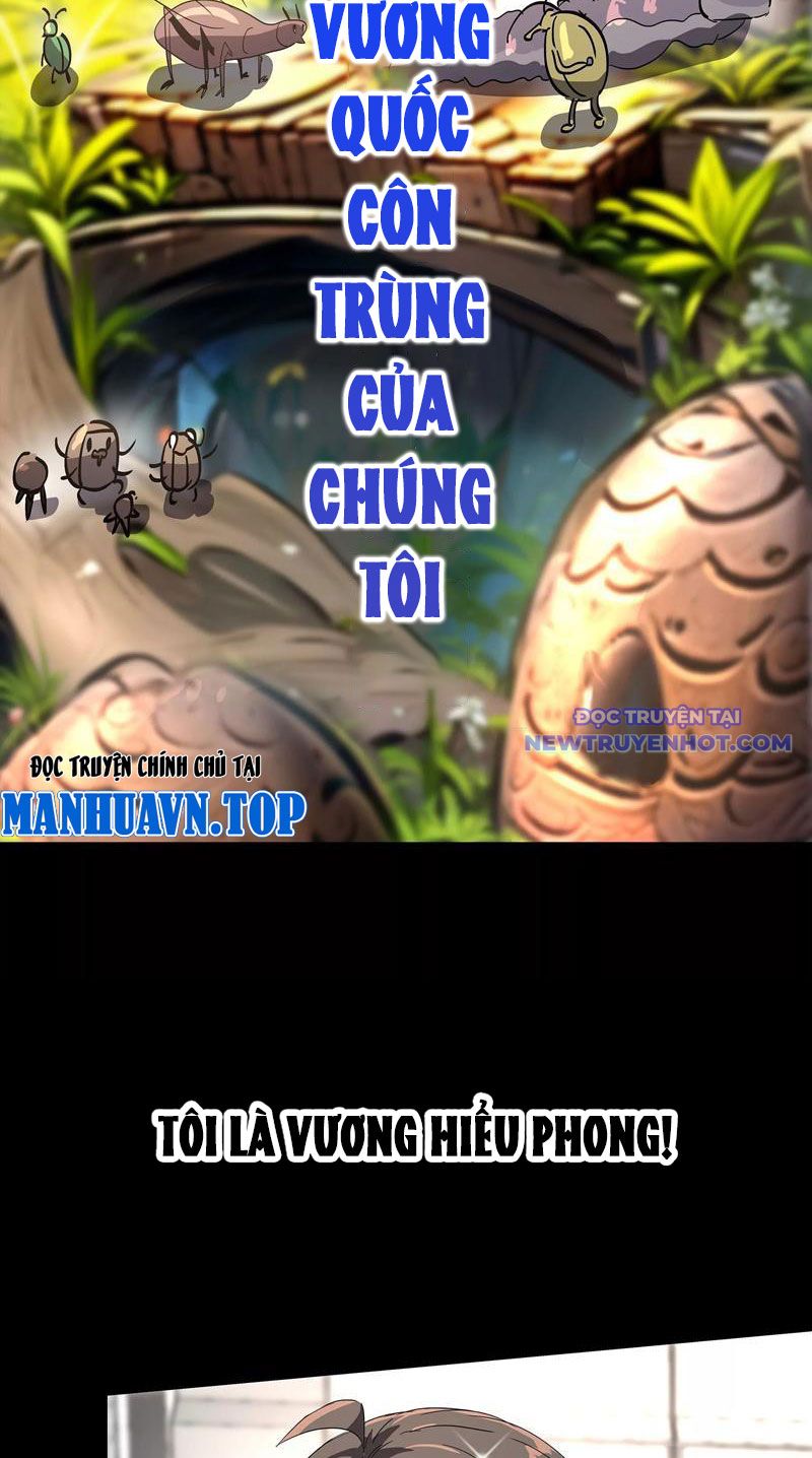 Vũ Trụ Trùng Vương chapter 1 - Trang 5