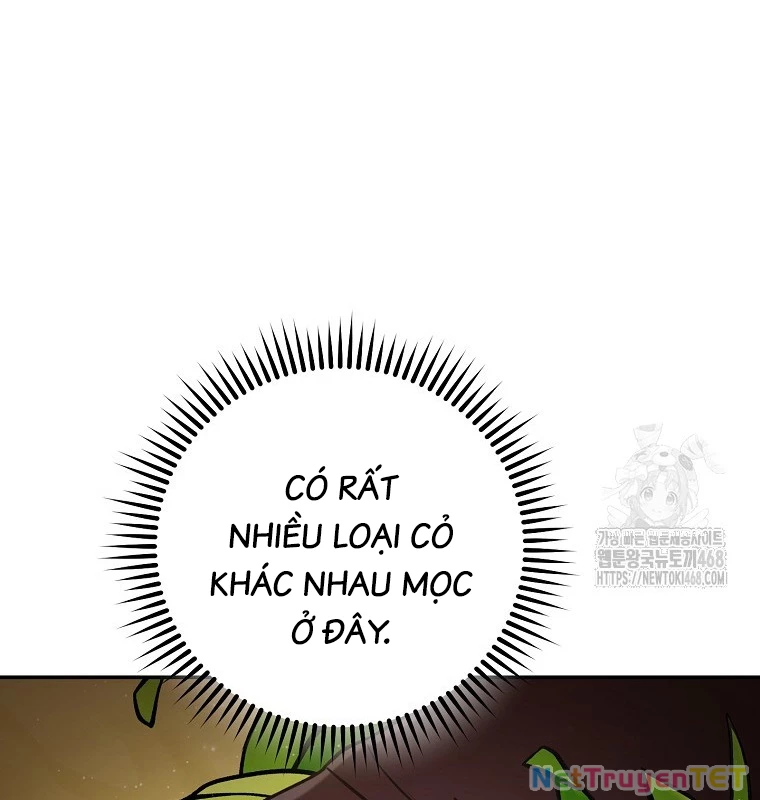 Tái Thiết Hầm Ngục Chapter 235 - Trang 82