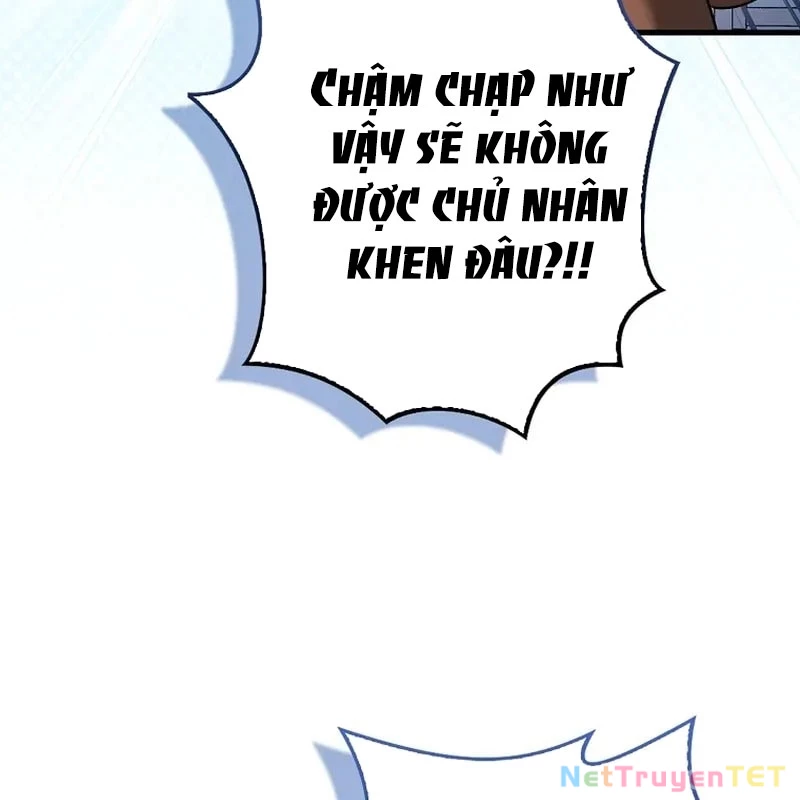 Thiên Tài Võ Thuật Hồi Quy Chapter 79 - Trang 64