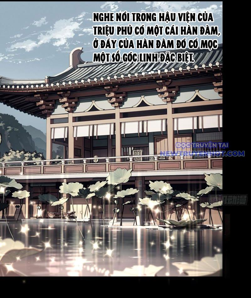 Thành Thần Bắt Đầu Từ Thủy Hầu Tử  chapter 4 - Trang 39