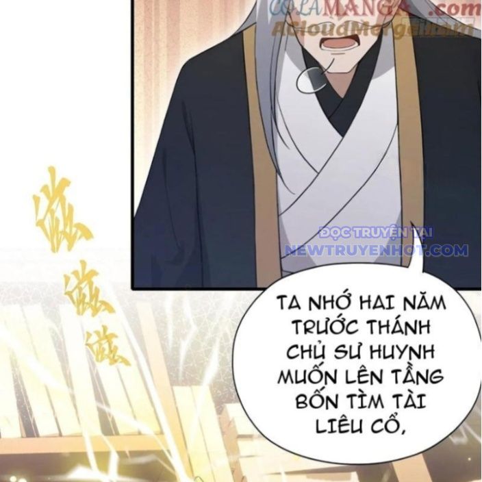 Hoá Ra Ta Đã Vô Địch Từ Lâu chapter 246 - Trang 25