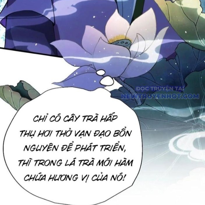 Hoá Ra Ta Đã Vô Địch Từ Lâu chapter 249 - Trang 93