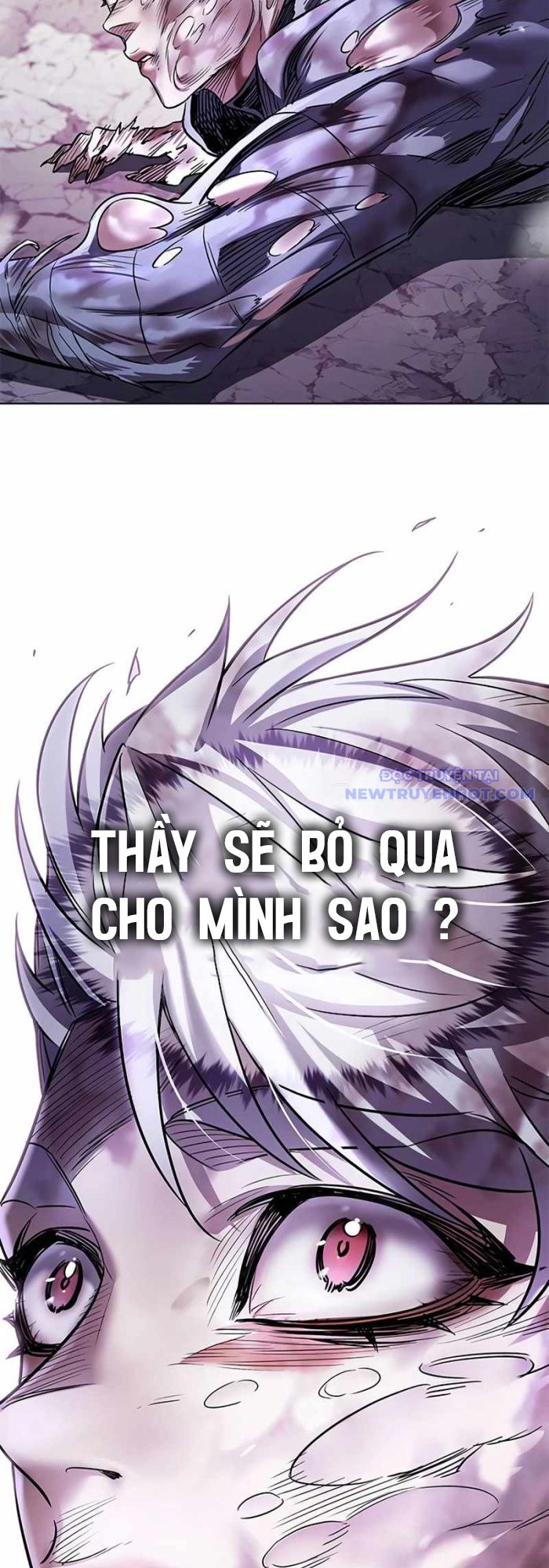 Hóa Thân Thành Mèo chapter 336 - Trang 17