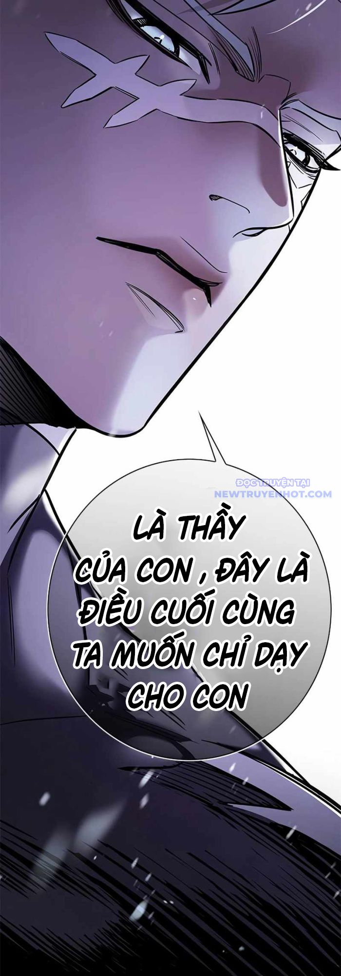 Hóa Thân Thành Mèo chapter 336 - Trang 19