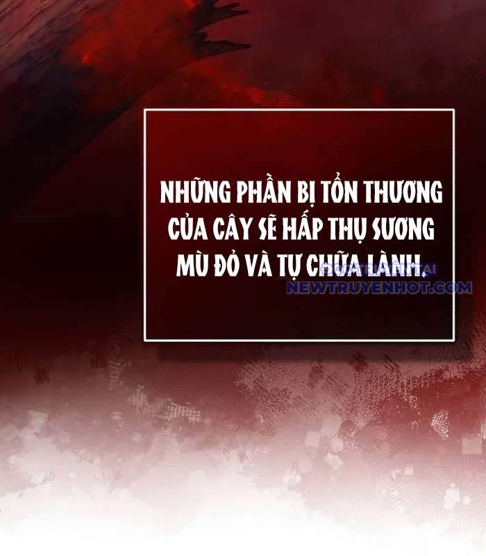 Hồi Quy Giả Về Hưu chapter 54 - Trang 52