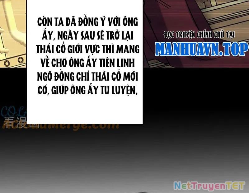 đệ Tử Tu Luyện Còn Ta Thì Lười Biếng Chapter 154 - Trang 42