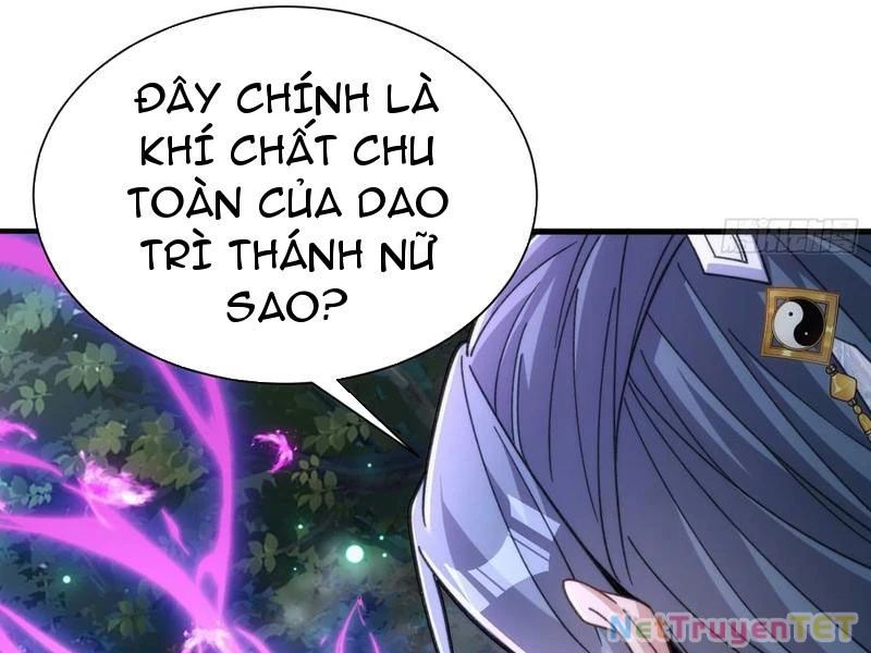 Ta Thực Sự Không Có Hứng Tu Tiên Chapter 45 - Trang 14