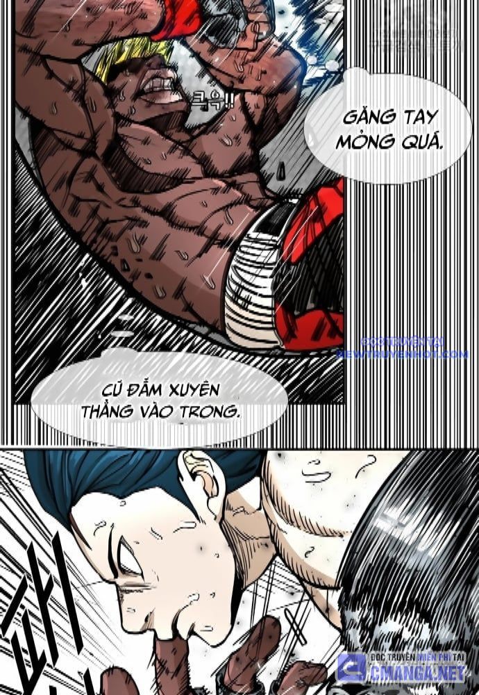 Shark - Cá Mập chapter 261 - Trang 32