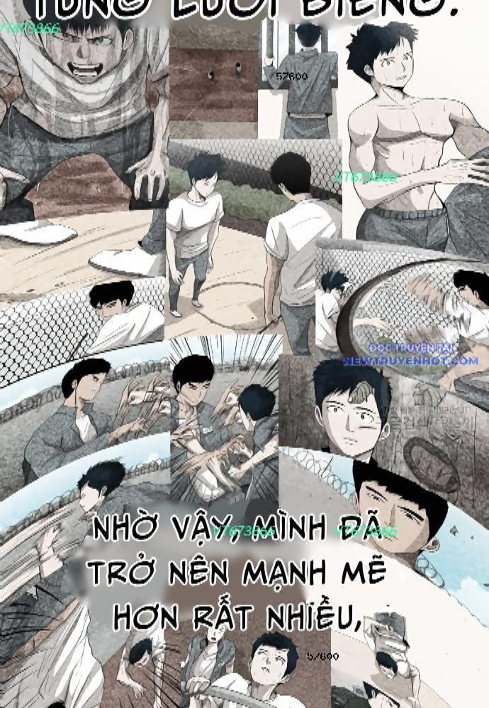 Shark - Cá Mập chapter 273 - Trang 9