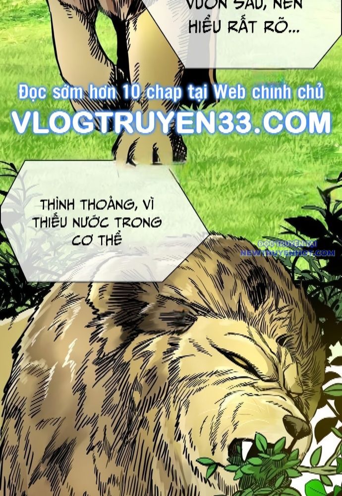 Shark - Cá Mập chapter 325 - Trang 41