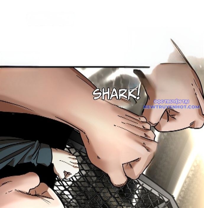 Shark - Cá Mập chapter 341 - Trang 19