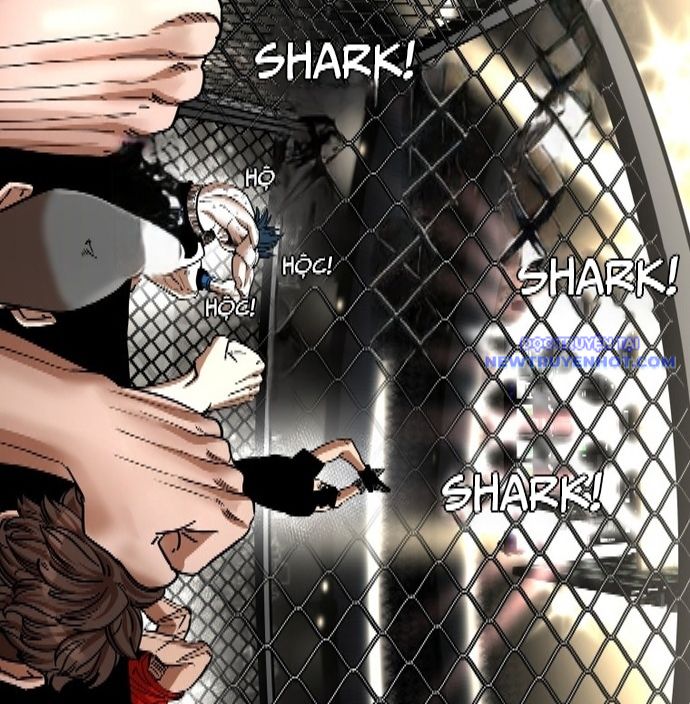 Shark - Cá Mập chapter 341 - Trang 20