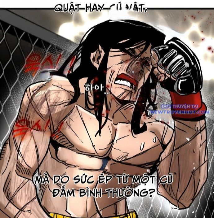 Shark - Cá Mập chapter 338 - Trang 37