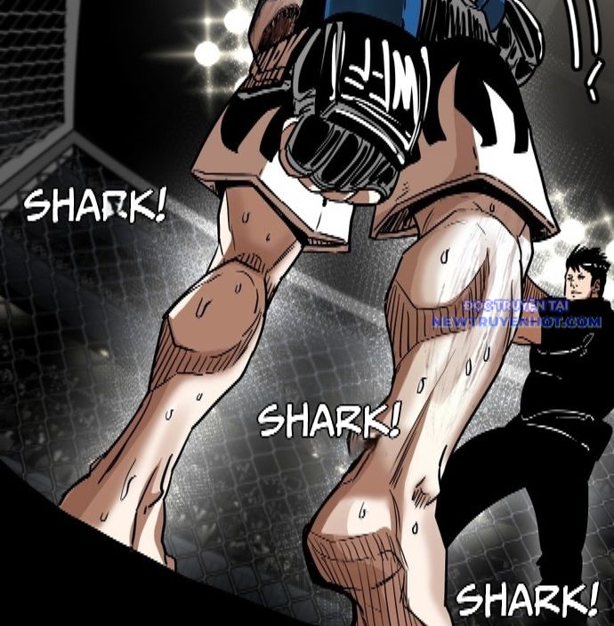 Shark - Cá Mập chapter 341 - Trang 24