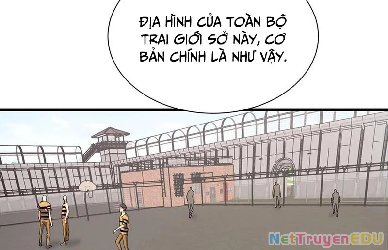 Ta Học Trảm Thần Trong Bệnh Viện Tâm Thần chapter 191 - Trang 28