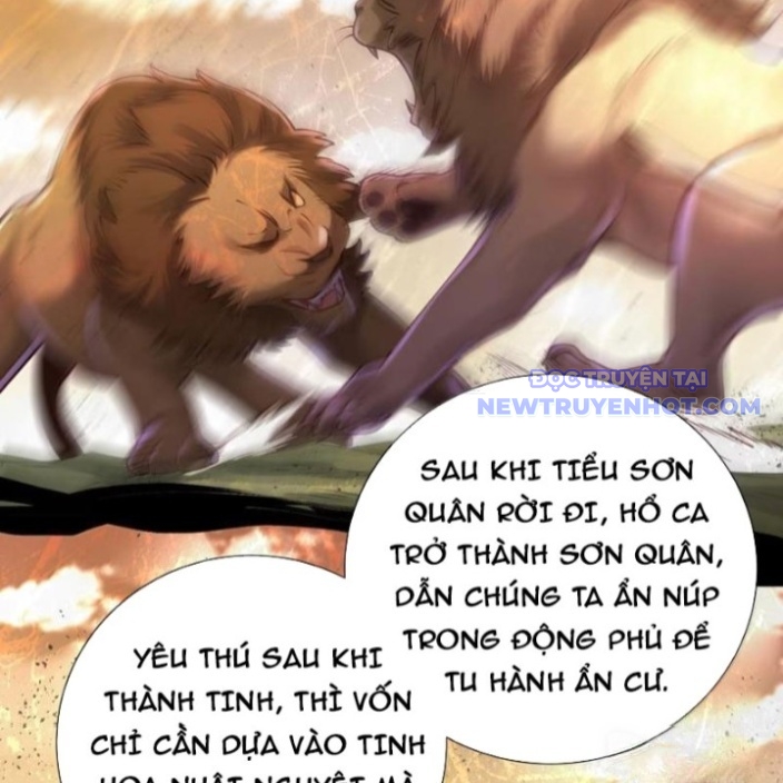 Bói Toán Mà Thôi, Cửu Vĩ Yêu Đế Sao Lại Thành Nương Tử Ta?! chapter 72 - Trang 39