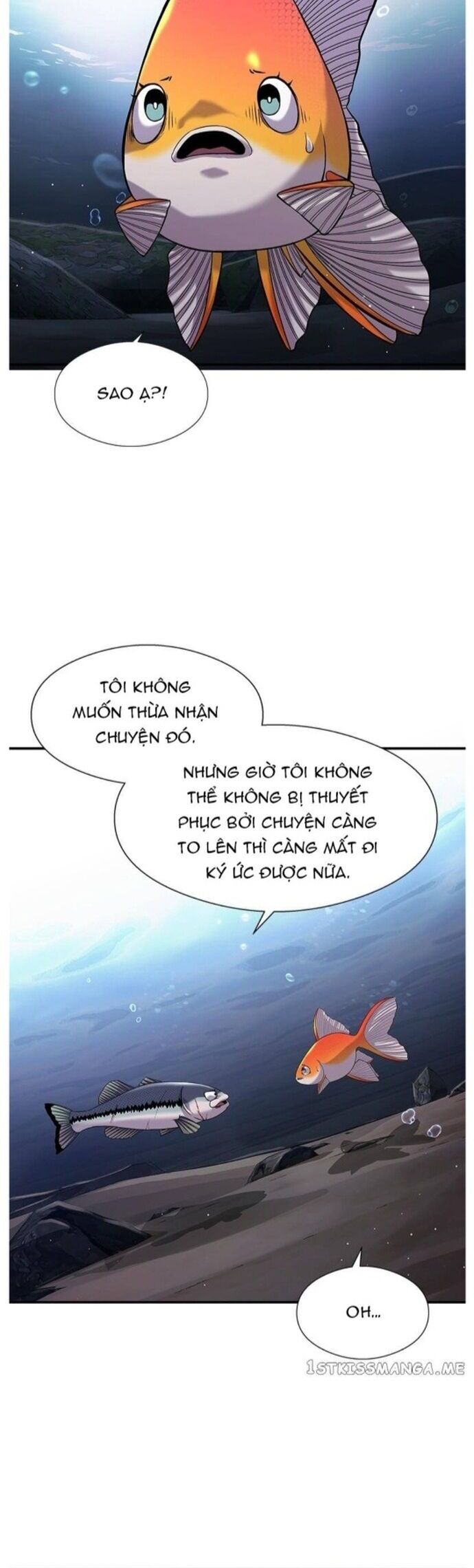 Hoá Thân Thành Cá Chapter 35 - Trang 13