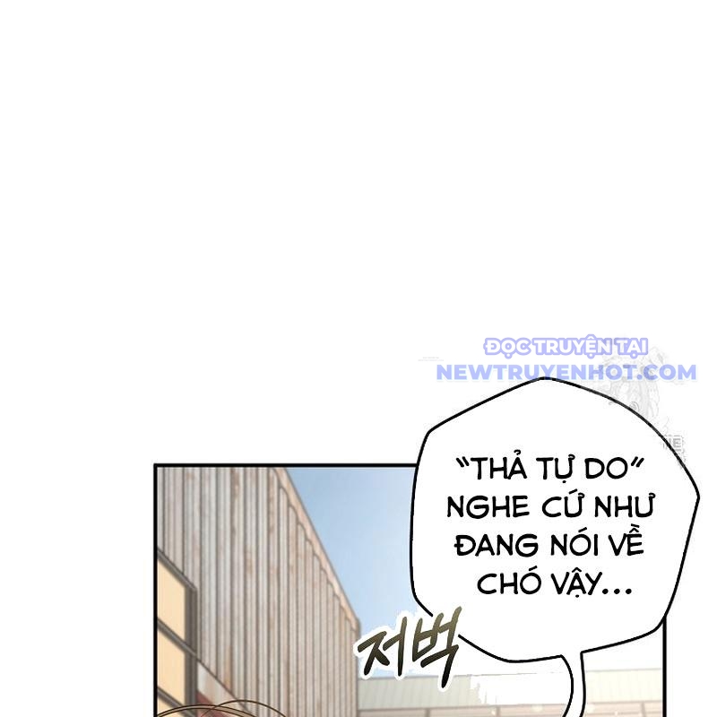 Tân Binh Triệu Đô chapter 51 - Trang 75