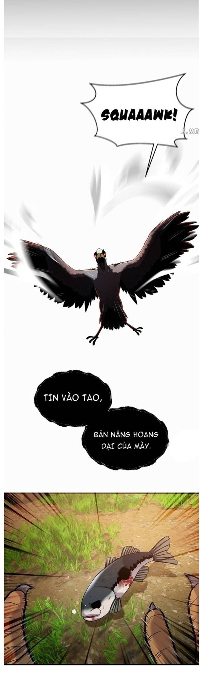 Hoá Thân Thành Cá Chapter 41 - Trang 11