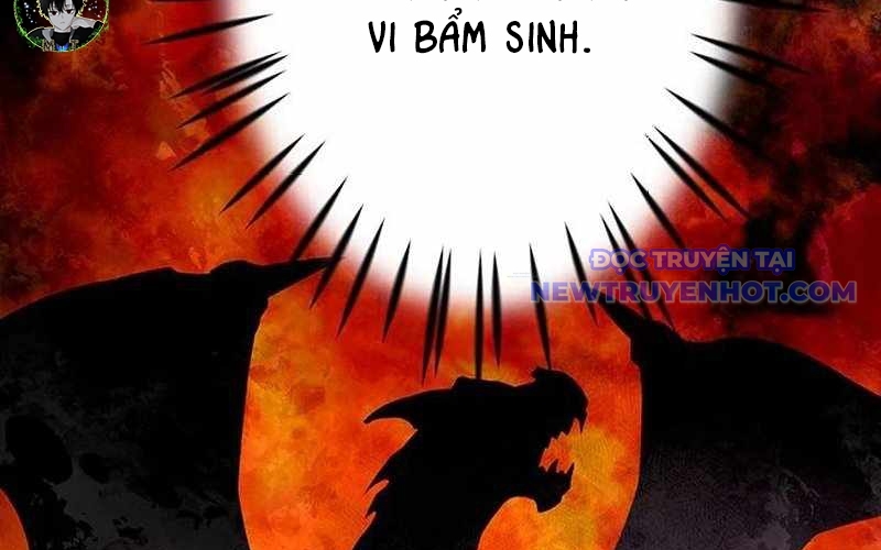 Vượt Cấp Với Kỹ Năng Thần Thánh chapter 2 - Trang 278