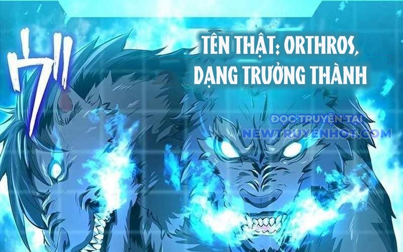 Vượt Cấp Với Kỹ Năng Thần Thánh chapter 3 - Trang 165