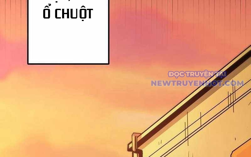 Vượt Cấp Với Kỹ Năng Thần Thánh chapter 1 - Trang 243