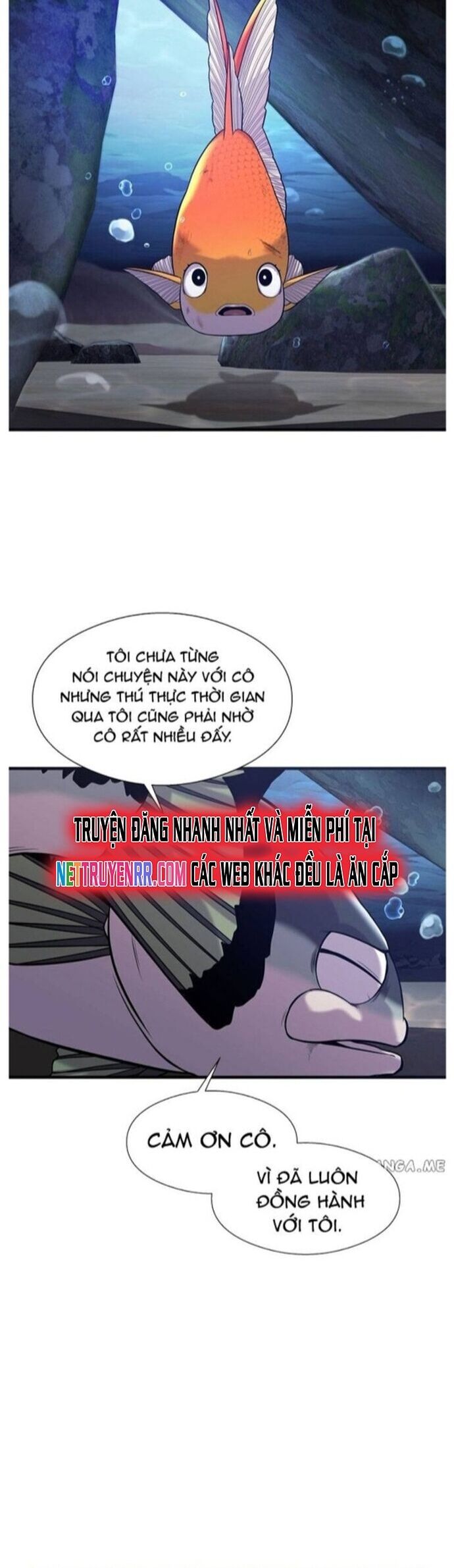 Hoá Thân Thành Cá Chapter 46 - Trang 35