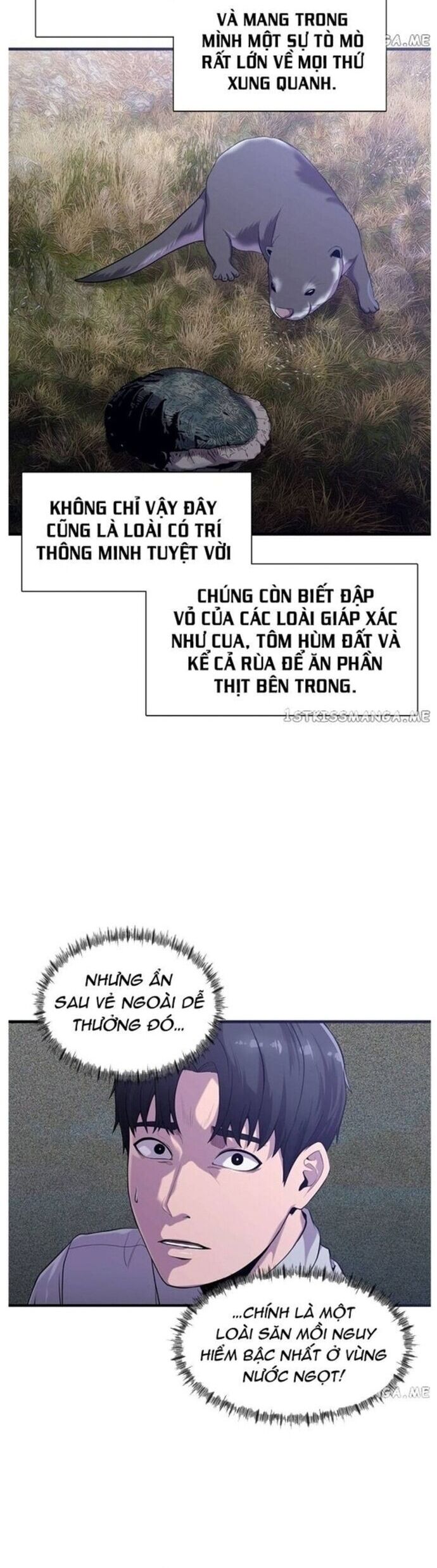 Hoá Thân Thành Cá Chapter 48 - Trang 19