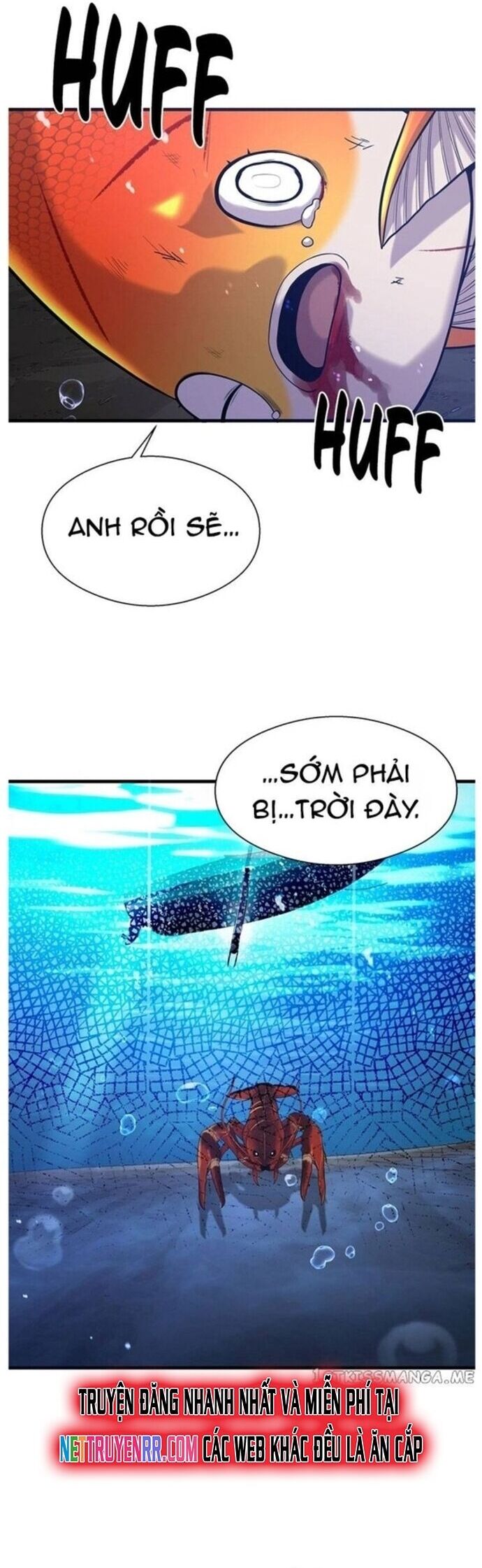 Hoá Thân Thành Cá Chapter 49 - Trang 49