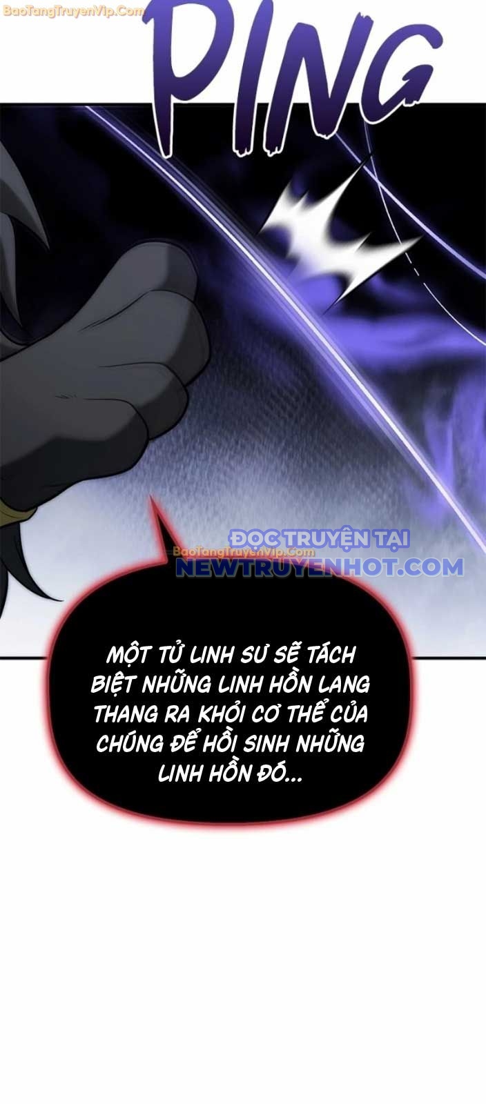 Thiếu Gia Chủ Của Gia Tộc Tử Linh Sư chapter 7 - Trang 14