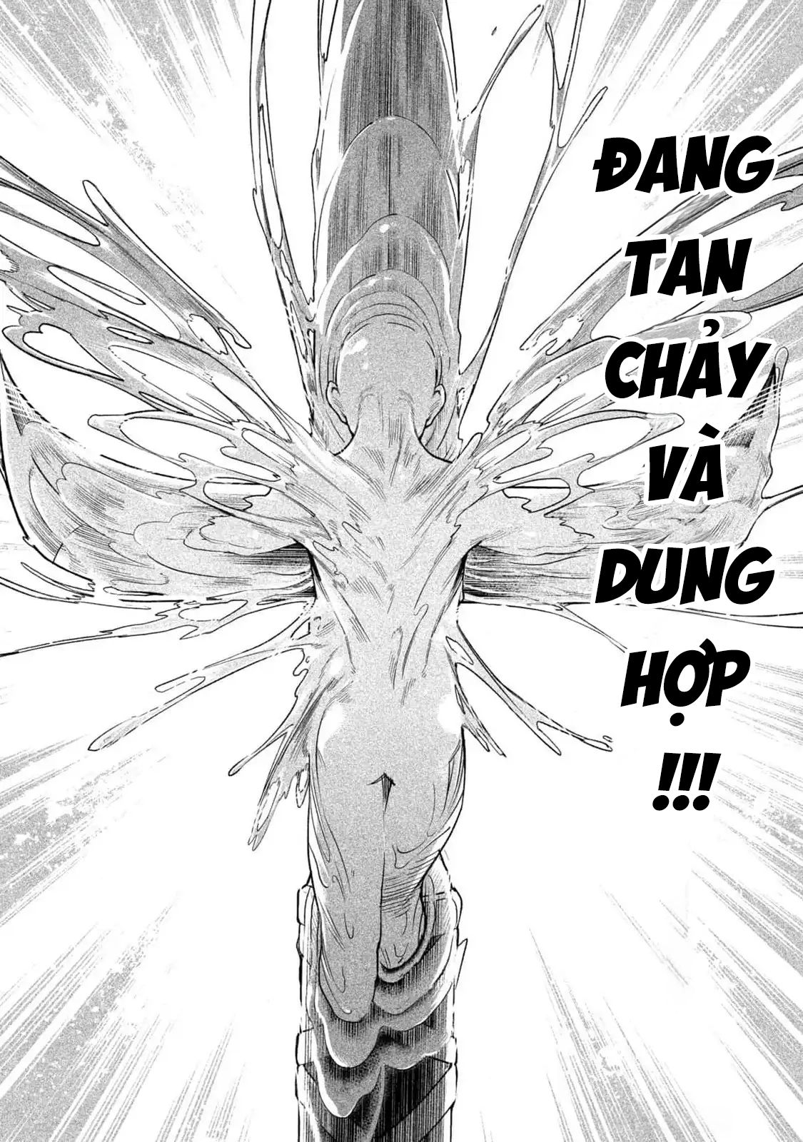 Tenkaichi - Thiên Hạ Đệ Nhất Võ Sĩ Đại Hội Chapter 45 - Trang 10