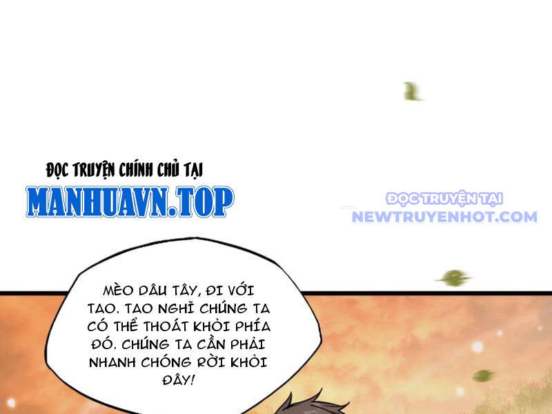 Ngự Thú: Ta Có Thế Thấy Toàn Bộ Chi Tiết Tiến Hóa chapter 4 - Trang 45