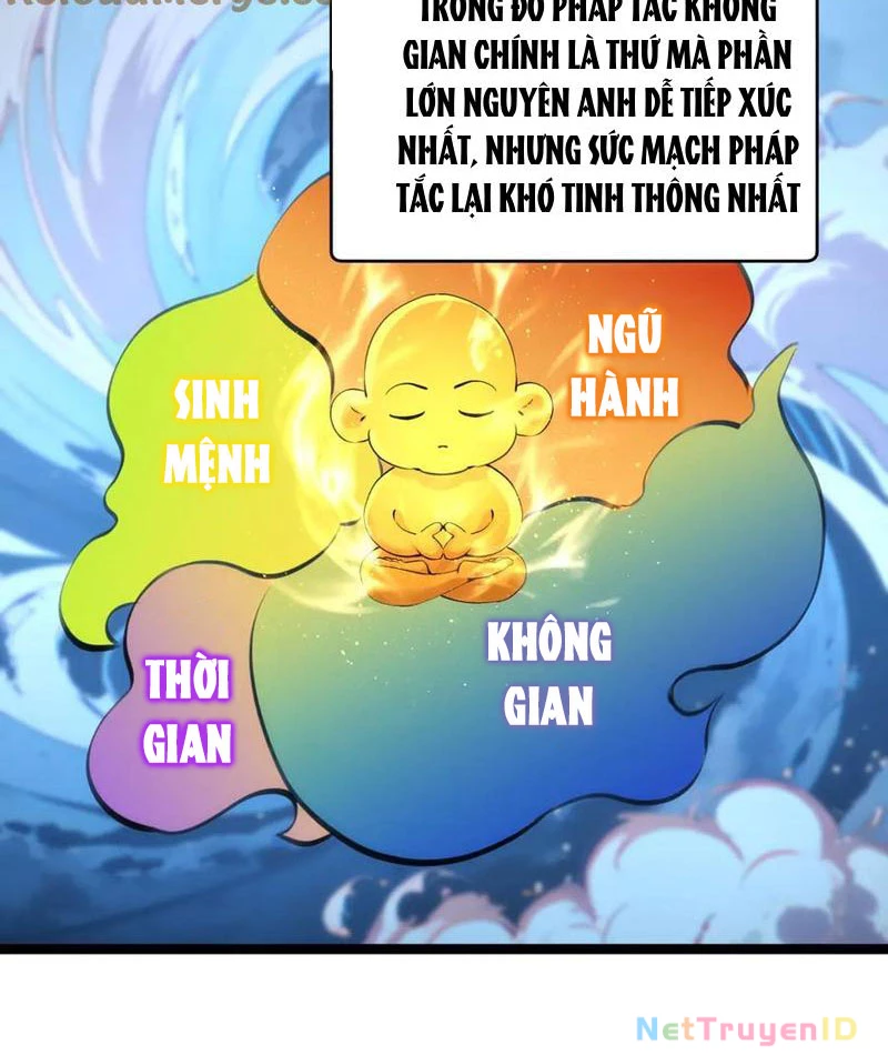 Ta Đoạt Xá Người Chơi Hệ Thống Chapter 117 - Trang 5