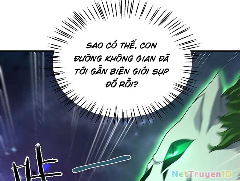 Thần Sủng Tiến Hóa Chapter 386 - Trang 10