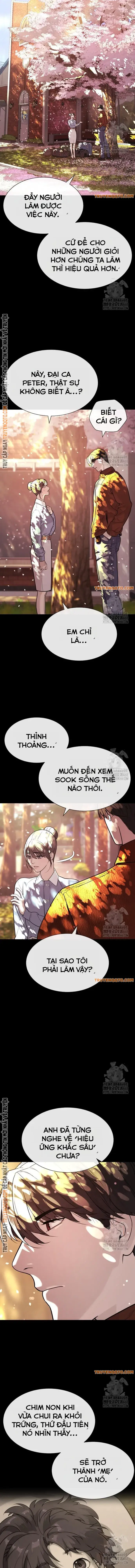 Sát Thủ Peter Chapter 83 - Trang 6