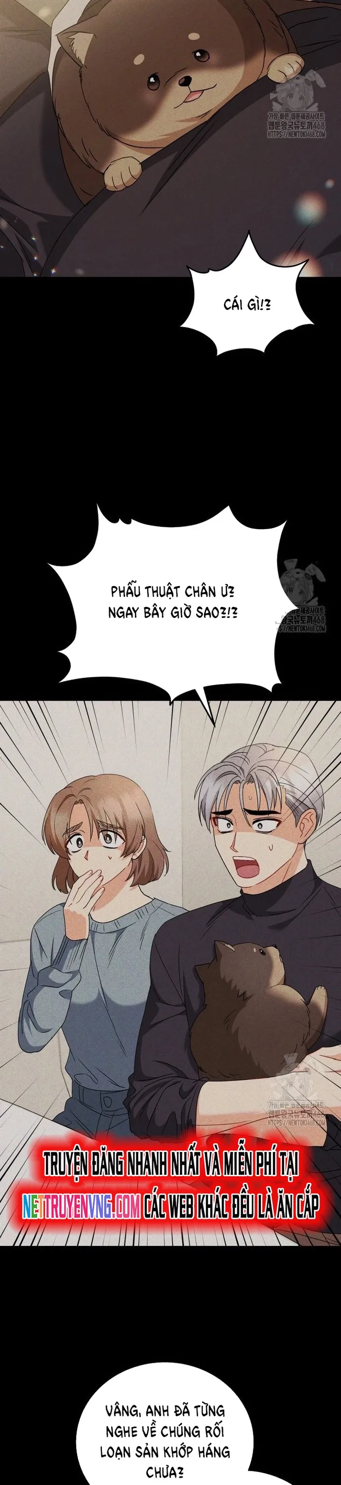 Xin Chào! Bác Sĩ Thú Y Chapter 87 - Trang 8