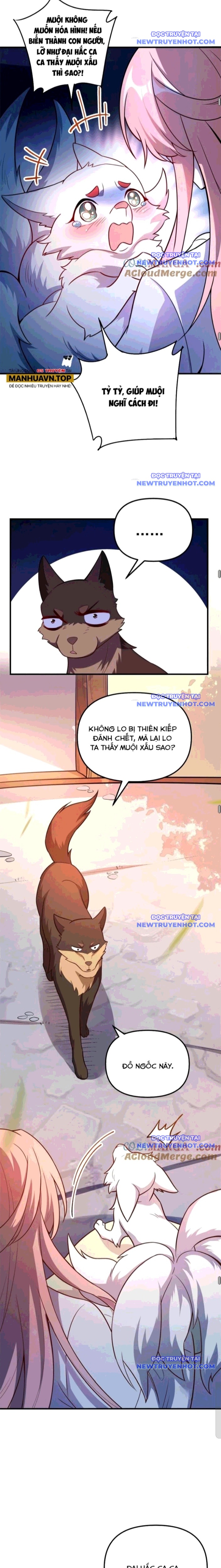 Nguyên Lai Ta Là Tu Tiên đại Lão chapter 541 - Trang 14